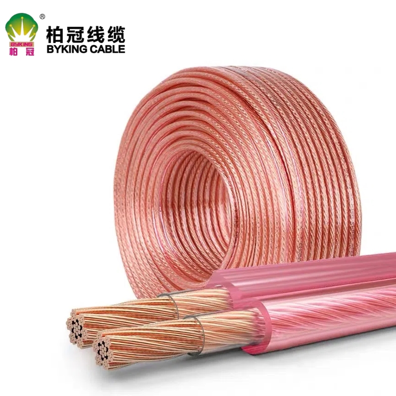 RYH Speaker Cable 音响线 金银线